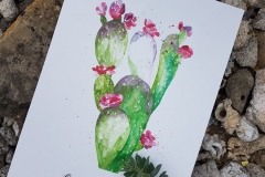 20180708_114657
