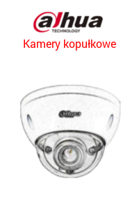 Kamery kopułkowe