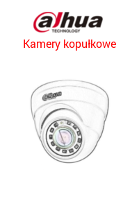 Kamery kopułkowe